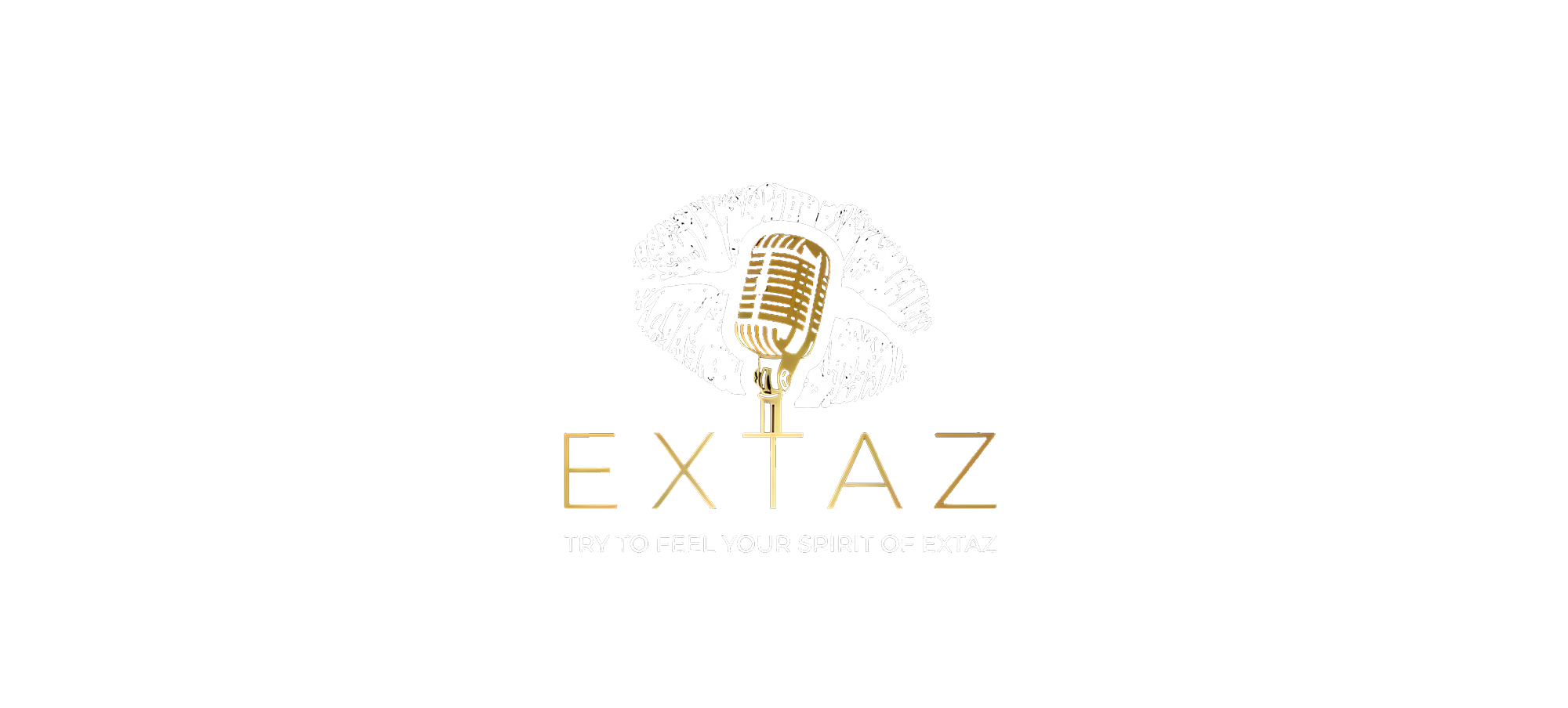 EXTAZ Feedback